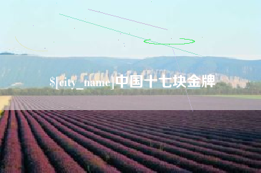 鹤壁中国十七块金牌