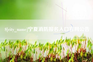 鹤壁宁夏消防报名入口官网公告
