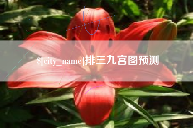 鹤壁排三九宫图预测