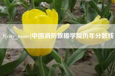 鹤壁中国消防救援学院历年分数线