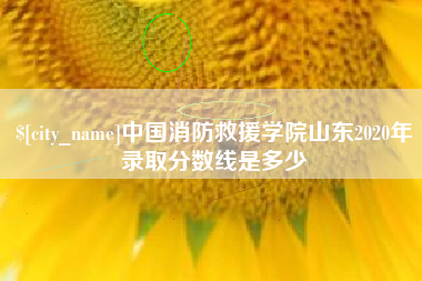 鹤壁中国消防救援学院山东2020年录取分数线是多少