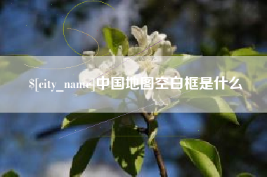 鹤壁中国地图空白框是什么