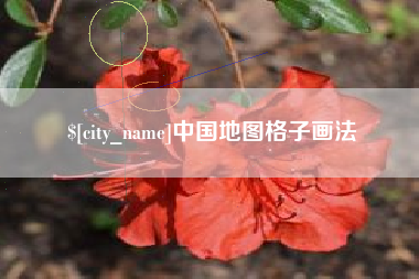 鹤壁中国地图格子画法