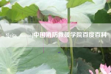 鹤壁中国消防救援学院百度百科