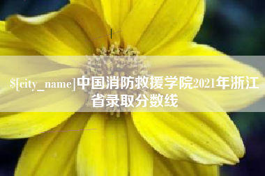 鹤壁中国消防救援学院2021年浙江省录取分数线
