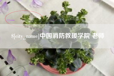 鹤壁中国消防救援学院 老师
