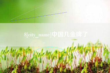 鹤壁中国几金牌了