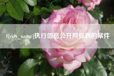 鹤壁执行信息公开网查到的案件