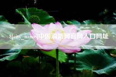 鹤壁中国消防网官网入口网址