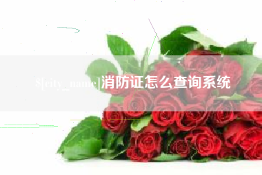 鹤壁消防证怎么查询系统