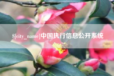 鹤壁中国执行信息公开系统