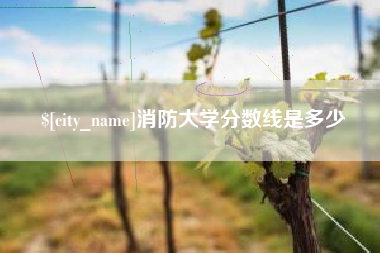 鹤壁消防大学分数线是多少