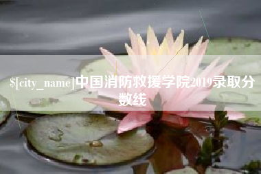 鹤壁中国消防救援学院2019录取分数线