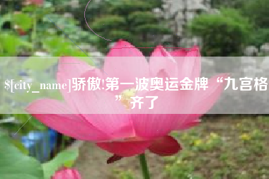鹤壁骄傲!第一波奥运金牌“九宫格”齐了