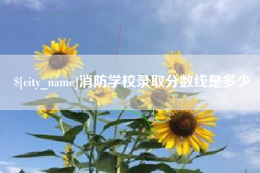 鹤壁消防学校录取分数线是多少