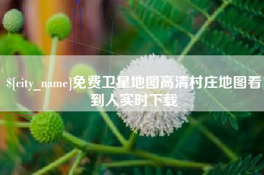 鹤壁免费卫星地图高清村庄地图看到人实时下载
