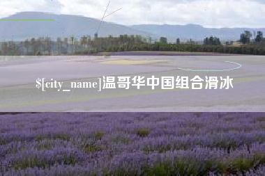 鹤壁温哥华中国组合滑冰