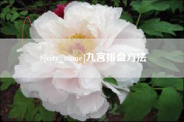 鹤壁九宫排盘方法