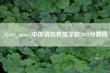 鹤壁中国消防救援学院2018分数线