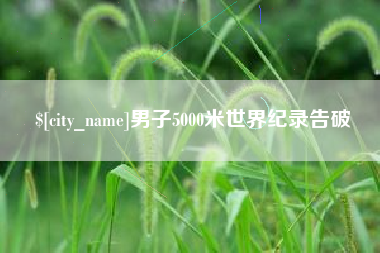 鹤壁男子5000米世界纪录告破