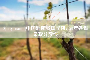 鹤壁中国消防救援学院2020年各省录取分数线