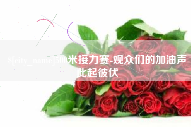 鹤壁500米接力赛-观众们的加油声此起彼伏