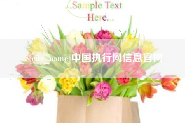 鹤壁中国执行网信息官网