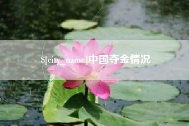 鹤壁中国夺金情况