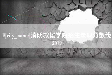 鹤壁消防救援学院招生录取分数线2019