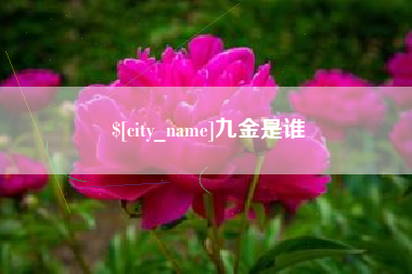 鹤壁九金是谁