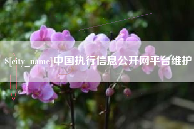 鹤壁中国执行信息公开网平台维护