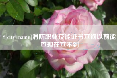鹤壁消防职业技能证书查询以前能查现在查不到