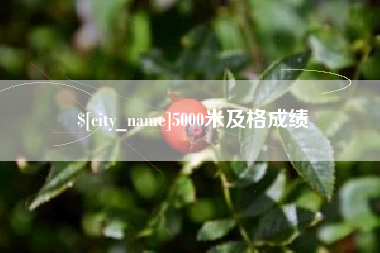 鹤壁5000米及格成绩