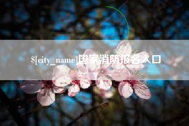 鹤壁国家消防报名入口