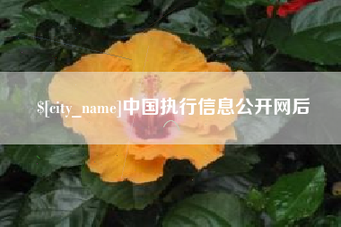 鹤壁中国执行信息公开网后