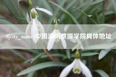 鹤壁中国消防救援学院具体地址