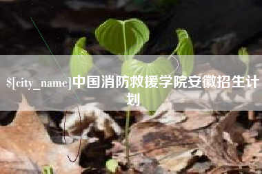 鹤壁中国消防救援学院安徽招生计划