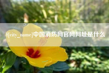 鹤壁中国消防网官网网址是什么