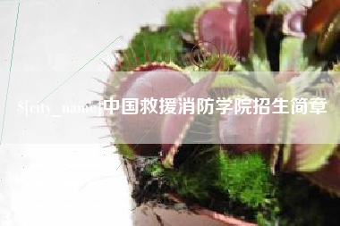 鹤壁中国救援消防学院招生简章
