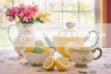 鹤壁中国消防救援学院分数2020