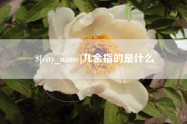 鹤壁九金指的是什么