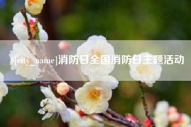 鹤壁消防日全国消防日主题活动