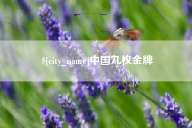 鹤壁中国九枚金牌