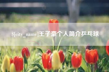 鹤壁王子豪个人简介乒乓球