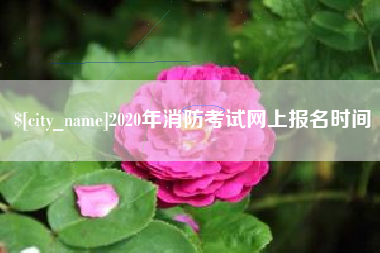 鹤壁2020年消防考试网上报名时间