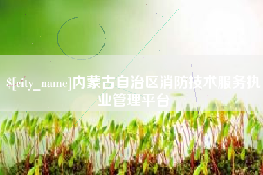 鹤壁内蒙古自治区消防技术服务执业管理平台