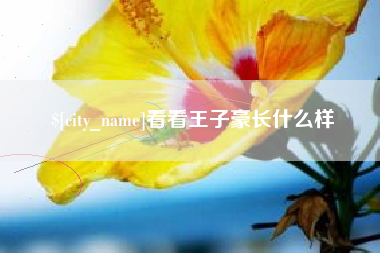 鹤壁看看王子豪长什么样