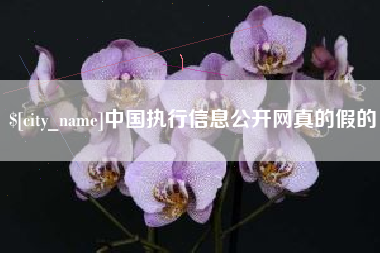 鹤壁中国执行信息公开网真的假的