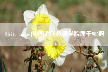 鹤壁中国消防救援学院属于985吗