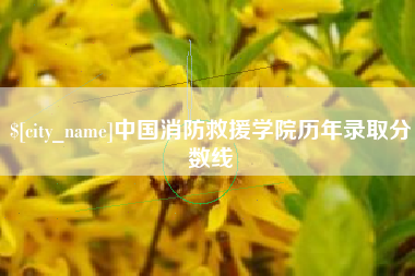 鹤壁中国消防救援学院历年录取分数线